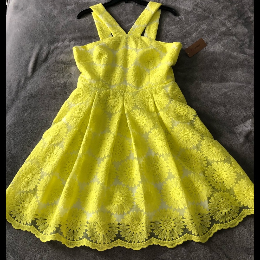 NWT Cremieux Natalie Daisy Yellow Dress